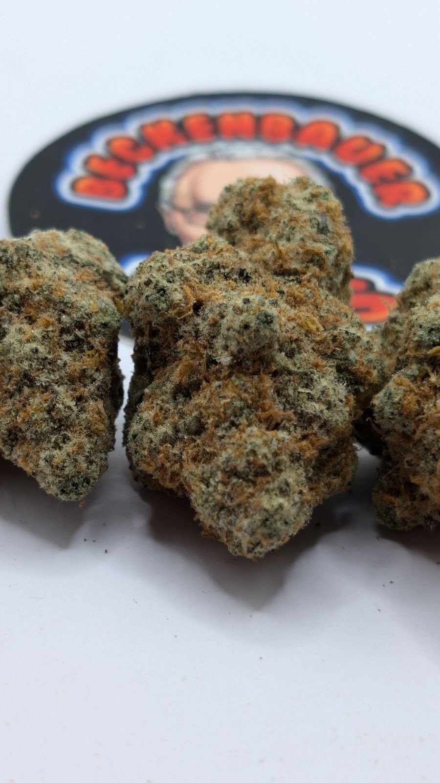 🇨🇦CALI🇨🇦
